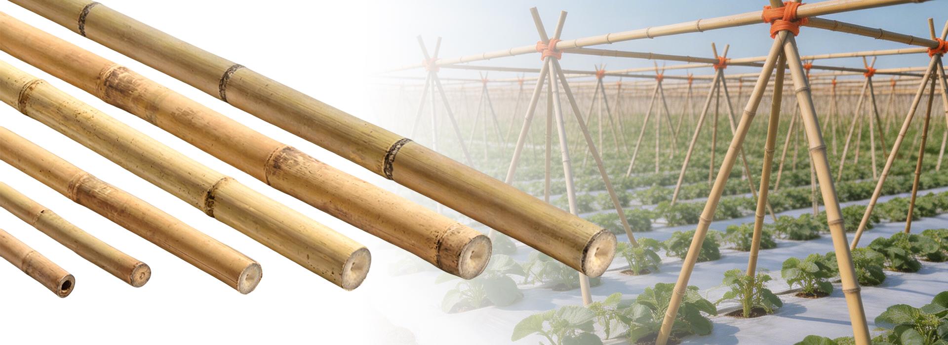 Agricultural Structures